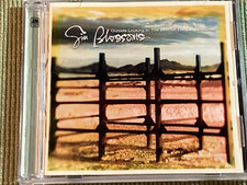 GIN BLOSSOMS THE BEST OF 14 TRACK CD FREE SHIPPING