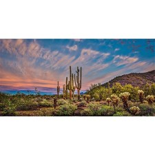 36x18 inches Terrarium Background Blue Sky Cloud Huge Cactus Oasis Gobi Repti...