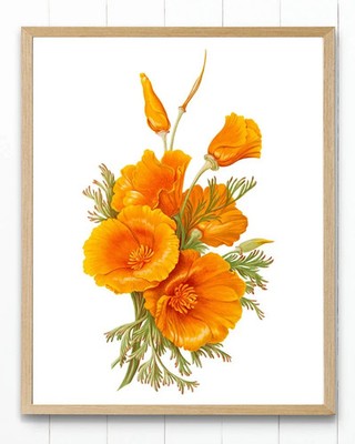 California Poppies Printable Vintage Flower Wall Art Digital Download JPGs