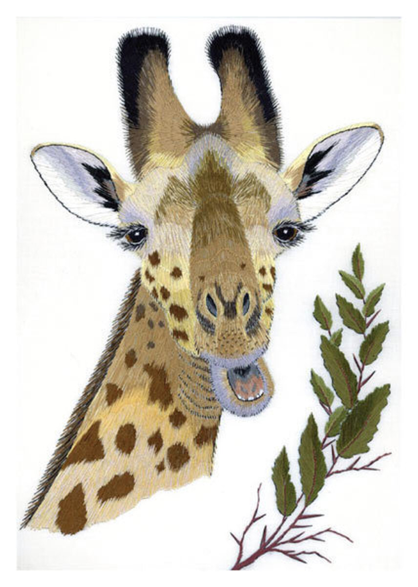 Giraffe Happy Birthday Blank Greeting Card by Colcards