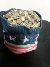 10+ Organic Moringa oleifera Seeds NON GMO. For planting.