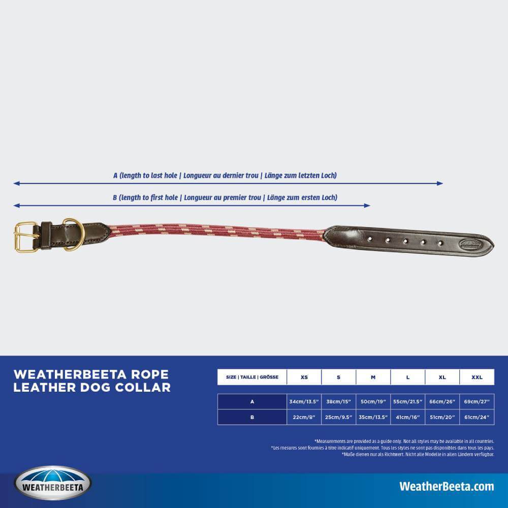 Weatherbeeta Rope Leather Dog Collar eBay