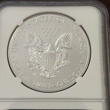 American Eagle MS 70 Graded 2013 Silver Bullion Coins for sale | eBay