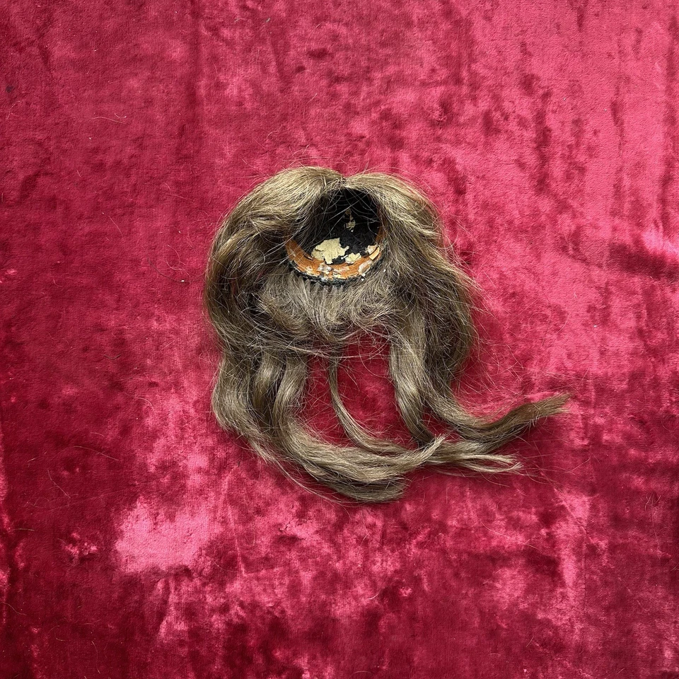 Perruque Ancienne De Poupée Ancienne Cheveux Naturels - Photo 4/4