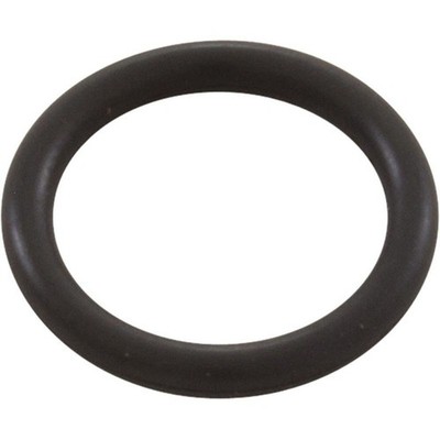 O-Ring, Viton, Delta UV, E/ES Series Lamps