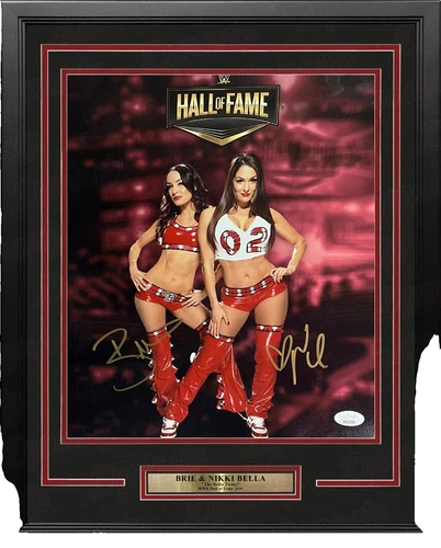 WWE Diva Nikki Bella Wrestling Photos