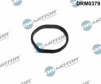 DRM0379 Dr.Motor Automotive Dichtung, SteuergehäUsedeckel FüR Ford