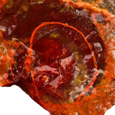 Alabama Paint Agate Rough - Red Halo Blood Red Background