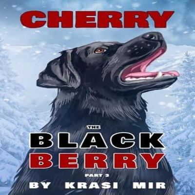 CHERRY THE BLACK BERRY PART 3 KRASI MIR Paperback KRASI MIR