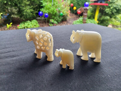 Horn Elephant Family With Pregnant Mother Child And Father