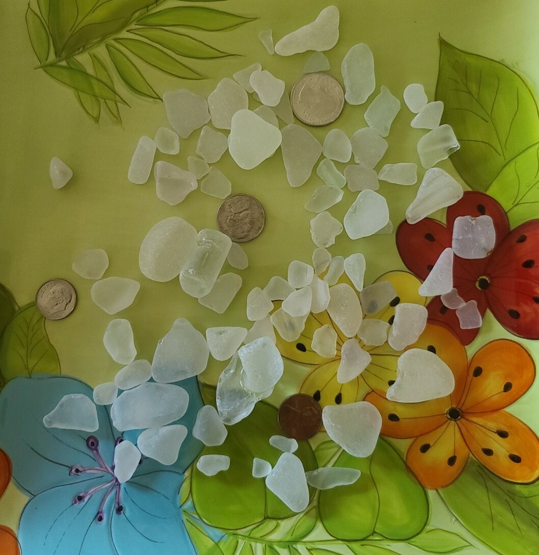 Off White Color Roses 40+ Pieces ~ Genuine Lake Erie Beach Glass ~ Surf Tumbled ~ White in ...