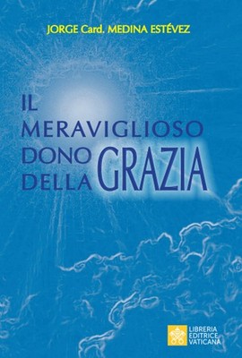 Das wunderbare Geschenk der Gnade - Medina Estevez Jorge