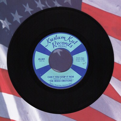 The Mixed Emotions Can't You Stop It Now I'll Fade Away 45 Record Garage Punk M-