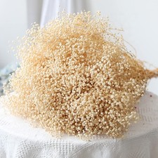 6500 Dried-Babys-Breath-Flowers-Bouquet, Double Quantityed Ivory White Flowe...