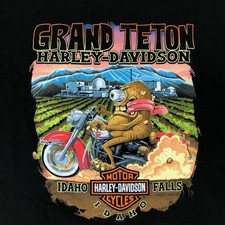Harley Davidson Grand Teton Potato Eyeball Me...
