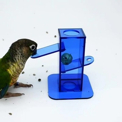 Parrot Foraging Toy for Bird Intelligence Growth Clear Acrylic Box with Bell