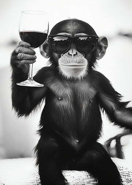 Monkey With Red Wine - Cute Funny Kitchen Animals Sunglasses