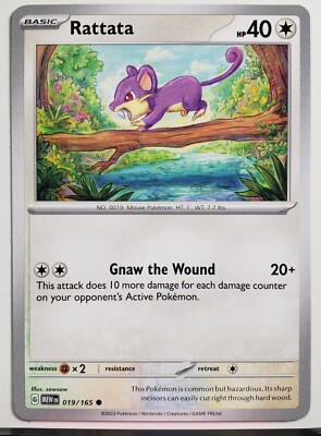 Rattata 019/165 NM / M - 151 Scarlet Violet Pokemon Card - Sowsow