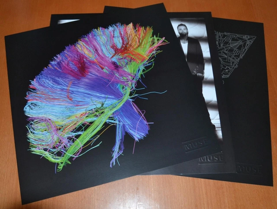 Muse - The 2nd Law - 2012 Double Vinyl / CD / DVD Box Set - Image 4 of 4