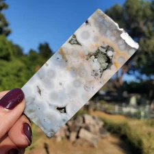 Ocean Jasper Old Stock Kambaby Agate Orbicular Freeform Display Tile 82 grams