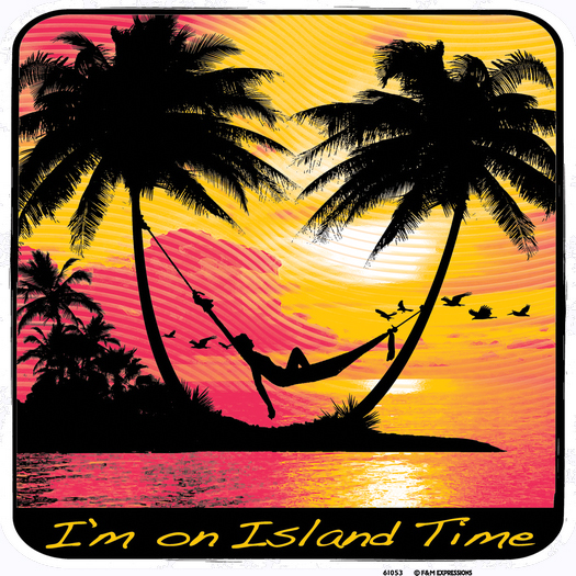 I'm On Island Time T Shirt You Choose Style, Size, Color 10624