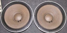 Woofer à cône PIONEER TAD TL-1601a 40 cm fonctionnel et testé JP