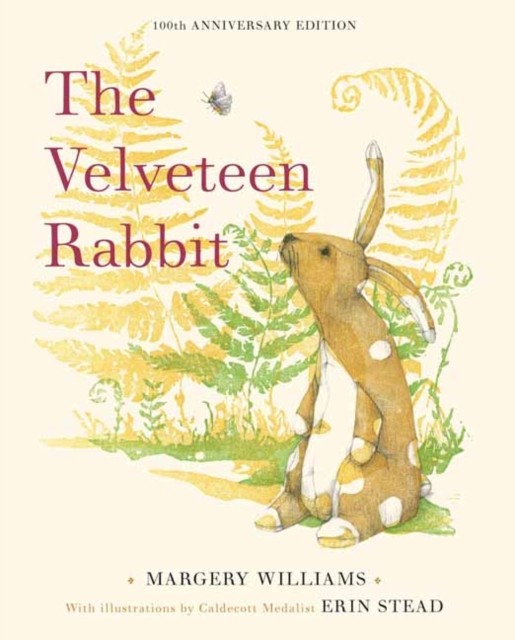 Velveteen Rabbit - Image 2