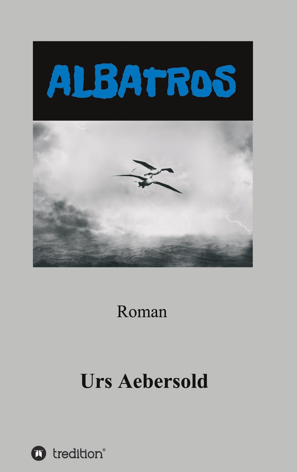 Thumbnail - Albatros | Roman | Urs Aebersold | Deutsch | Taschenbuch | Paperback |