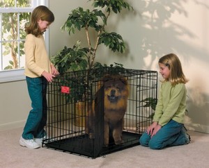 frisco fold and carry dog crate
