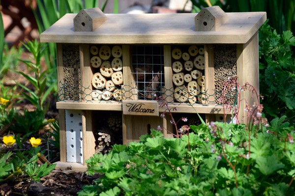 "Insektenhotel \"Landsitz Superior\", Insektenhaus Bienenhotel Nistkasten Holz Xxl"-image