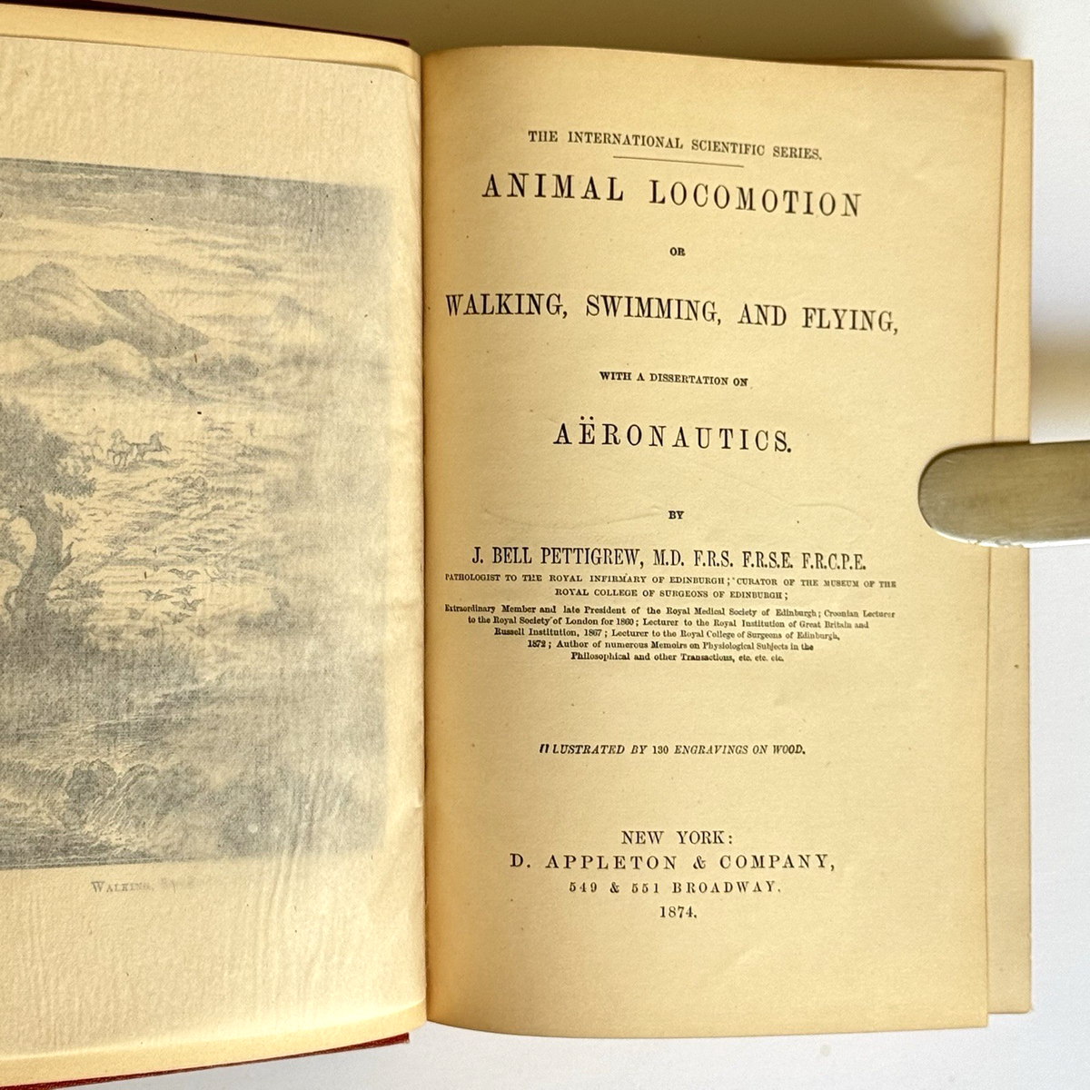 1874. Animal Locomotion. PETTIGREW, J. Bell. Early Aeronautics