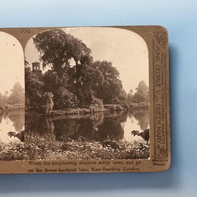 #ad London Stereoview C1900 Real Photo England Lake In Kew Horticultural Gardens GBP 13.95