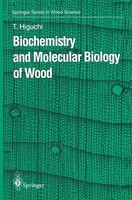 Takayoshi Higuchi | Biochemistry And Molecular Biology Of Wood | Taschenbuch
