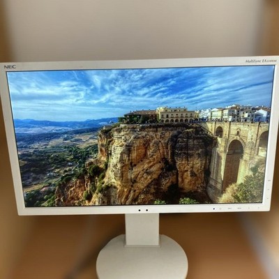 NEC MultiSync EA224WMi 21,5 Zoll IPS Full HD LCD Monitor HDMI Display