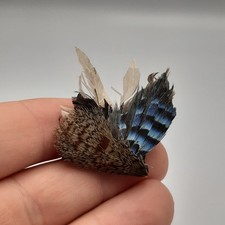 Vintage Eurasian Jay Feather Brooch Pin Blue Black Striped Taxidermy Art