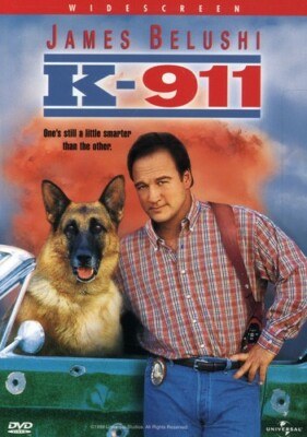 911 目撃者 DVD リチャード シーガル K-911, Good DVD, J.J. Johnston,Wade Andrew Williams,James Handy