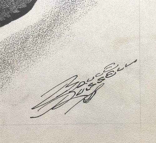 Bruce Russell -Political Cartoon -Bill of Rights -Pulitzer Prize Winning Artist - 第 2/3 張圖片