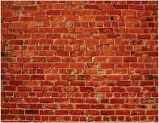 Brick Backdrop Tapestry - 7x5FT Vinyl Fake Brick Wall for Photoshoot