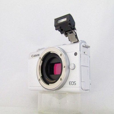 Canon EOS M200 24.1 MP Mirrorless Interchangeable Lens Camera