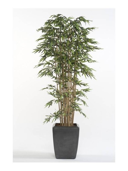 Artplants Kunstbaum Bambus Hikito EchtstäMme, 175Cm-image