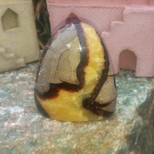 Septarie mit Standfuge Madagaskar Drachenstein Lebenswandel Zen Nr.17