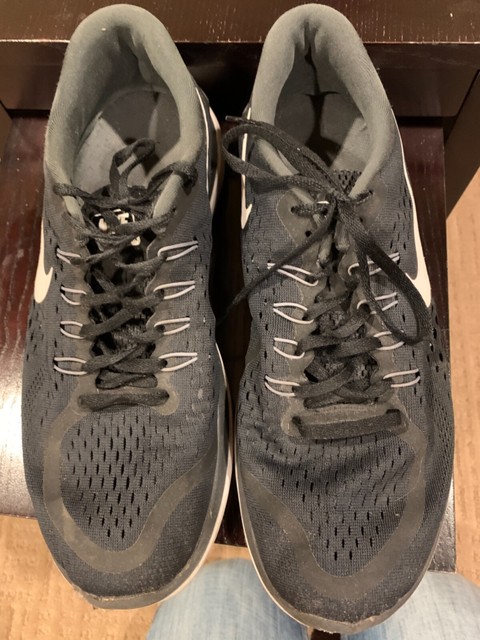 nike flex 2017 white