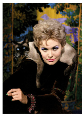 Kim Novak Pyewacket BELL BOOK AND CANDLE - KIM NOVAK - PYEWACKET - 5