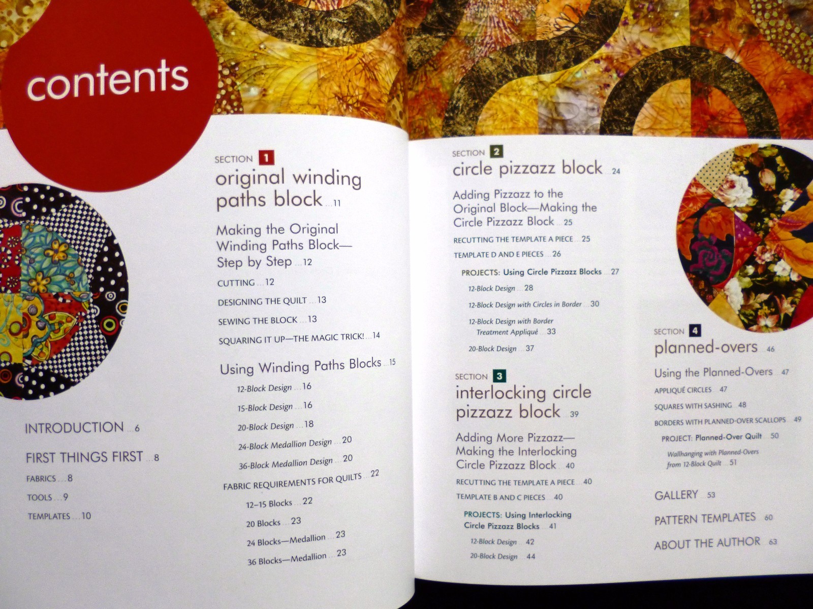 CIRCLE PIZZAZZ 12 QUILT Projects Easy Curves by Judy Sisneros