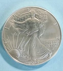 2025 1 oz American Silver Eagle Coin (BU)