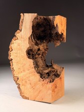 Hollow Live Edge Burr Elm Resin Square Woodturning Bowl Blank 11x7x4inch 1.2 KG