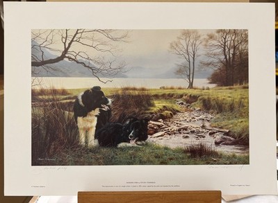 Steven Townsend - Working Pair - Border Collies - Artist Proof - Print Only