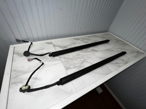 2018-2024 OEM FORD EXPEDITION NAVIGATOR  REAR TRUNK LID LIFTGATE MOTOR STRUT SET