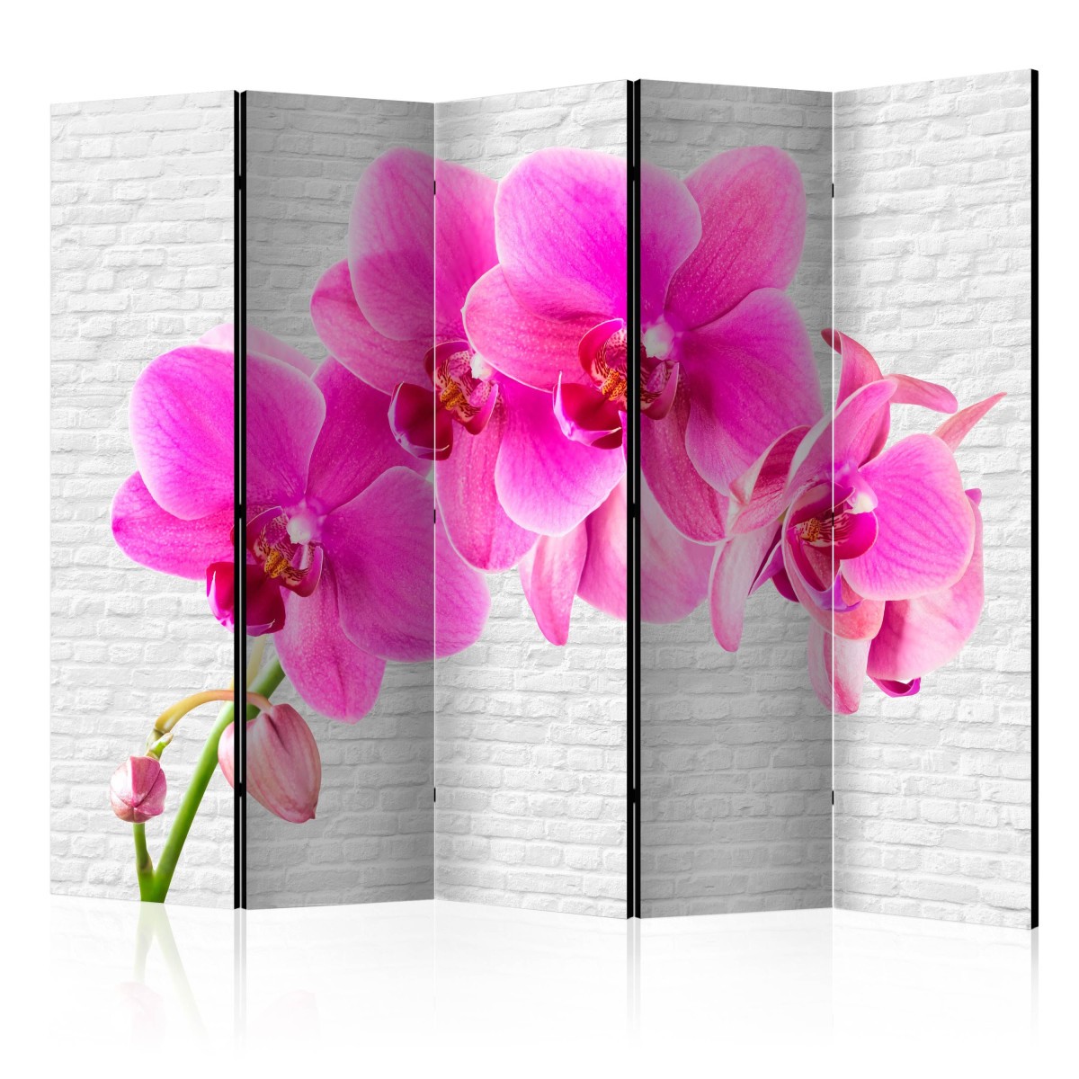 Paravent 5 volets 172x225cm haut de gamme imprimé sur toile canva