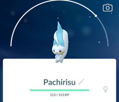  POKeMon Go Pachirisu 0417 - Nur In PoGo Tauschen 